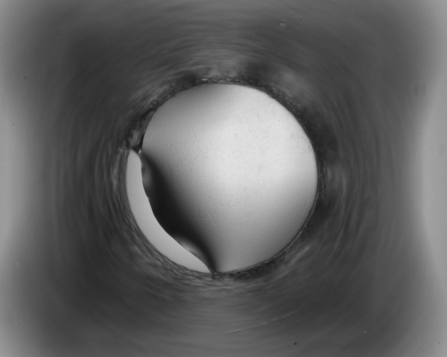 X0000083551250200703091547