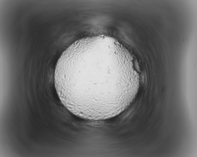 X0000083551251200703091547