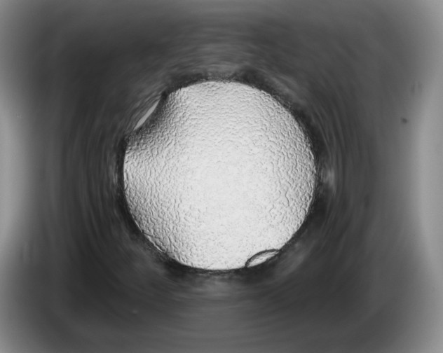 X0000083551252200703091547