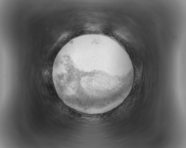 X0000083551254200703091547
