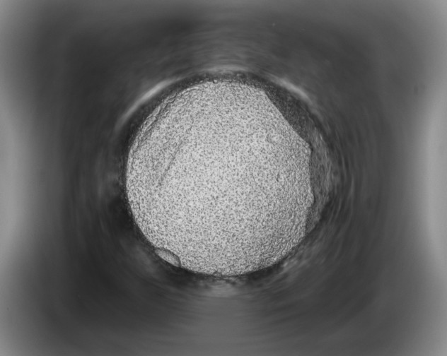 X0000083551255200703091547