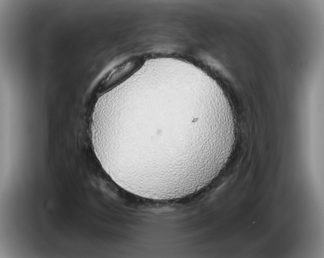 X0000083551256200703091547