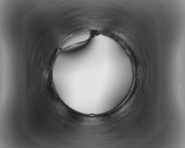X0000083551257200703091547