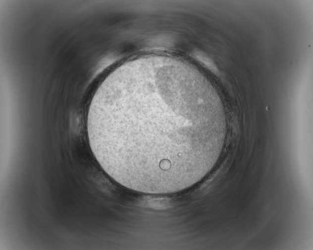 X0000083551258200703091547