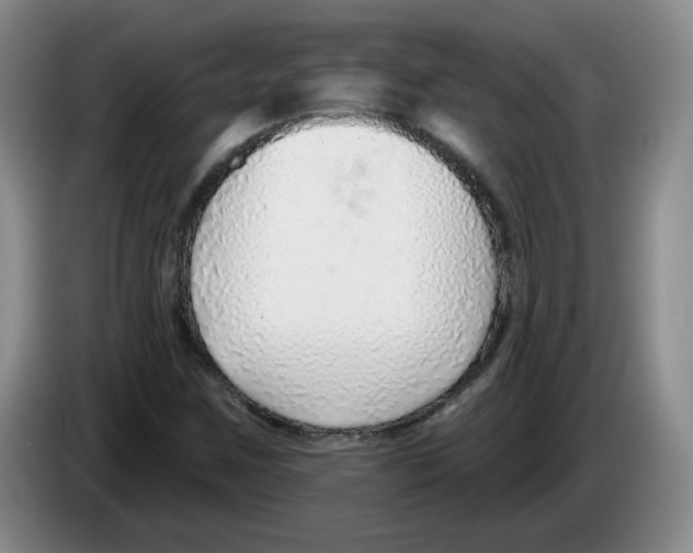 X0000083551259200703091547