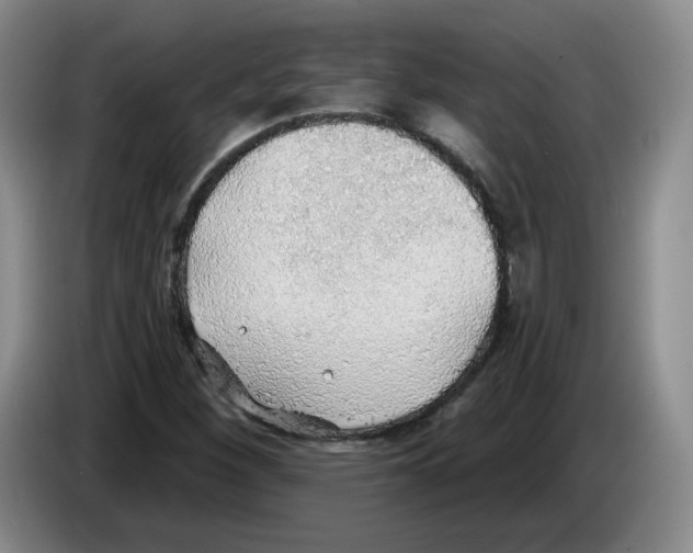 X0000083551260200703091547
