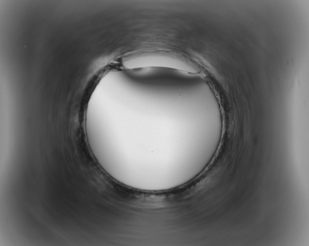 X0000083551261200703091547