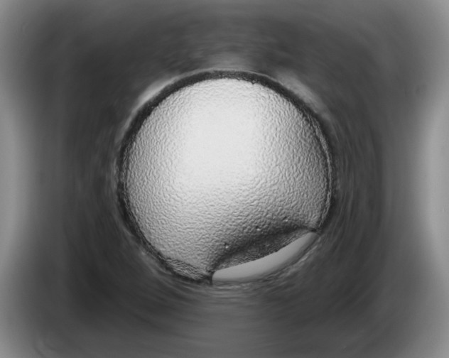 X0000083551264200703091547