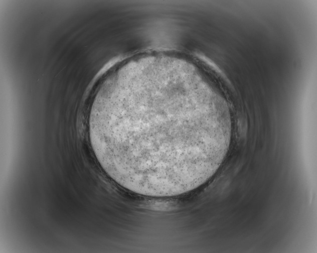 X0000083551266200703091546