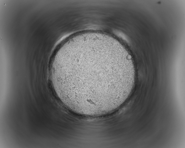X0000083551267200703091546