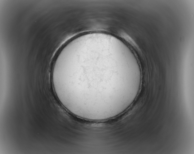 X0000083551268200703091546