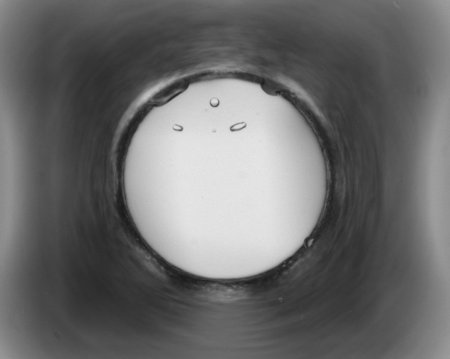 X0000083551270200703091546