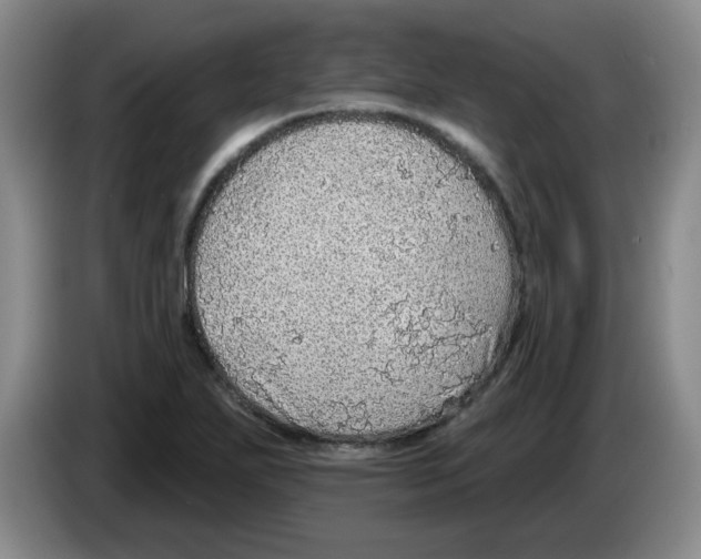 X0000083551271200703091546