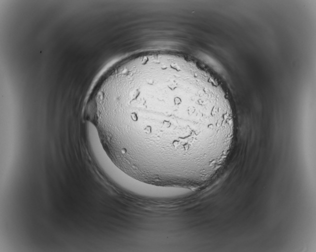 X0000083551275200703091546