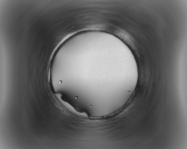 X0000083551276200703091546