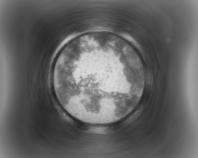 X0000083551278200703091546