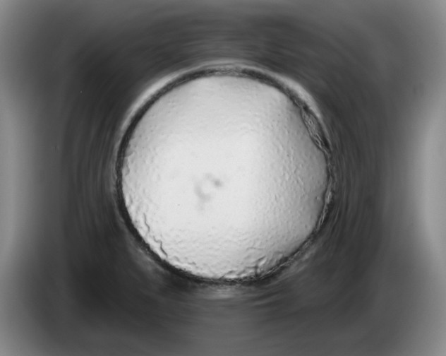 X0000083551279200703091546