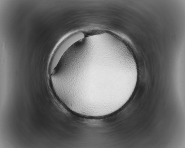 X0000083551280200703091546