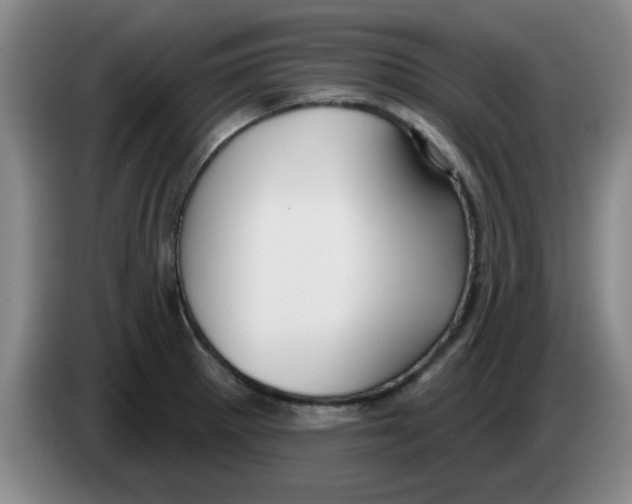 X0000083551281200703091546