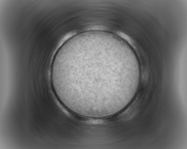 X0000083551282200703091546