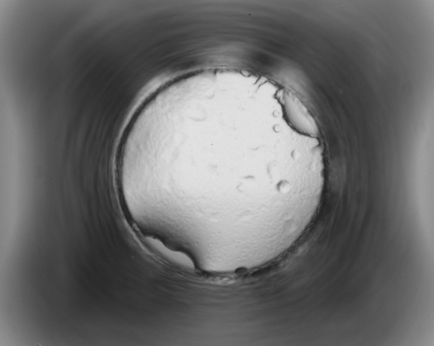 X0000083551283200703091546