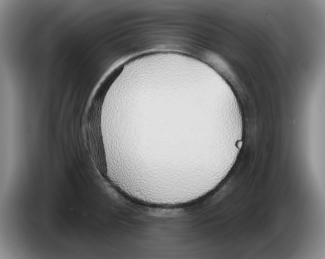X0000083551284200703091546