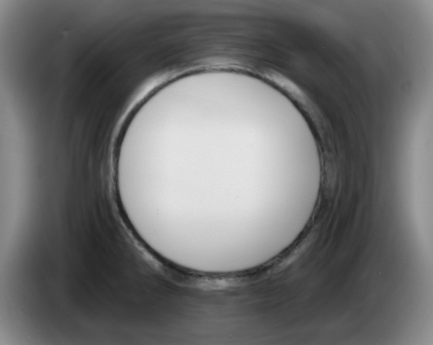 X0000083551286200703091546
