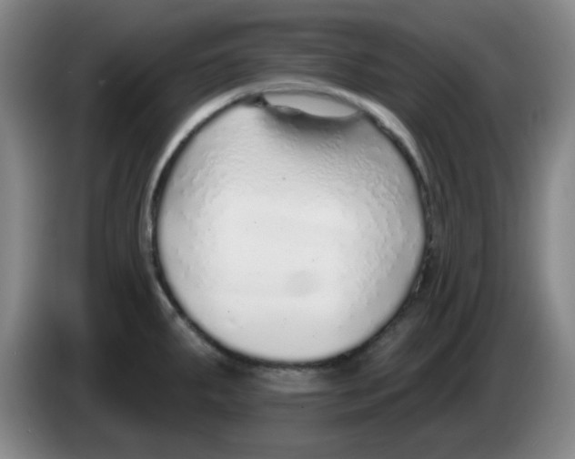 X0000083551287200703091546
