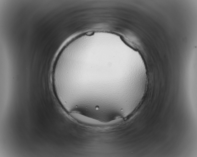 X0000083551288200703091546
