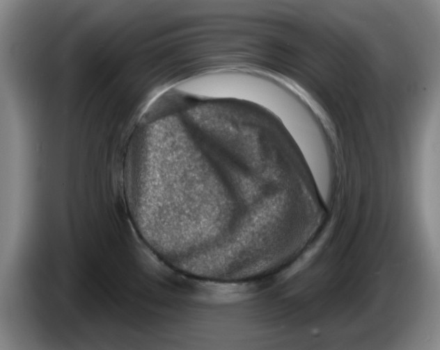 X0000083551289200703091546