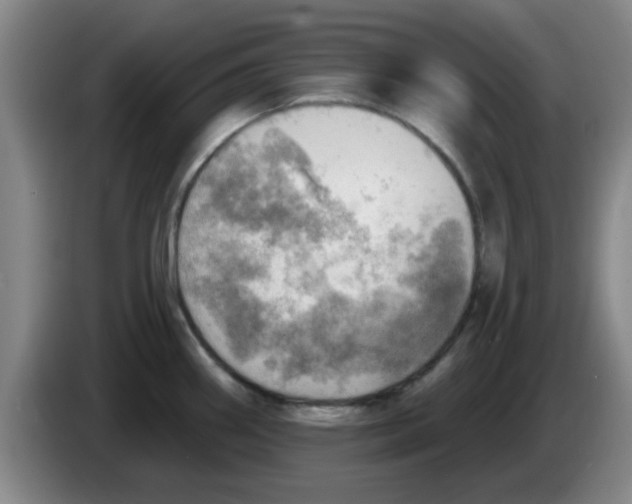 X0000083551290200703091546