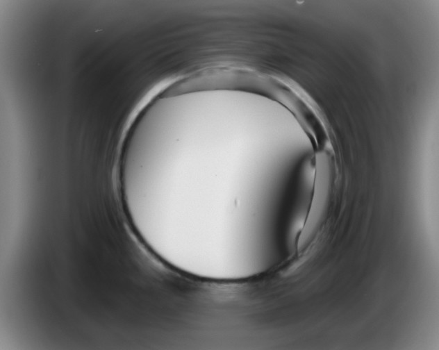 X0000083551293200703091546