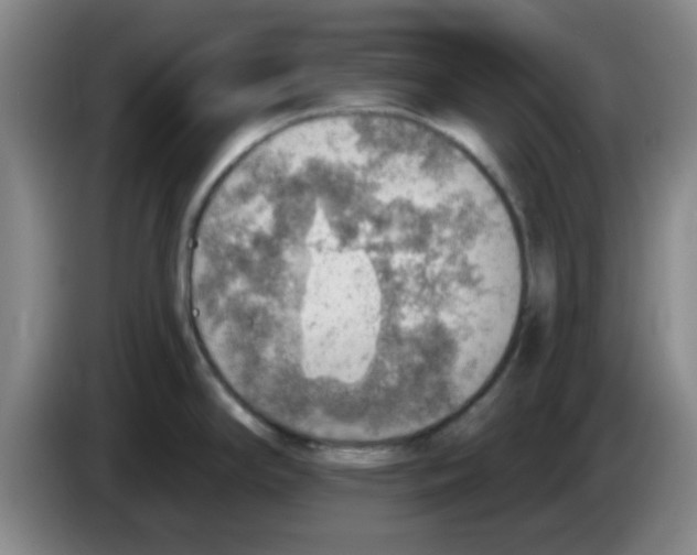 X0000083551294200703091546