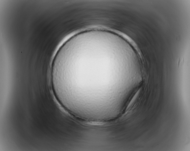 X0000083551295200703091546