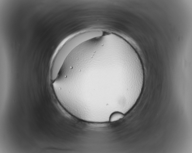 X0000083551296200703091546