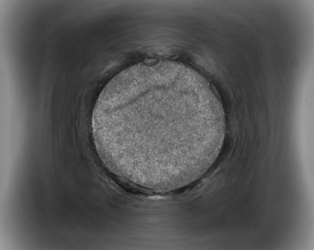 X0000083551297200703091545