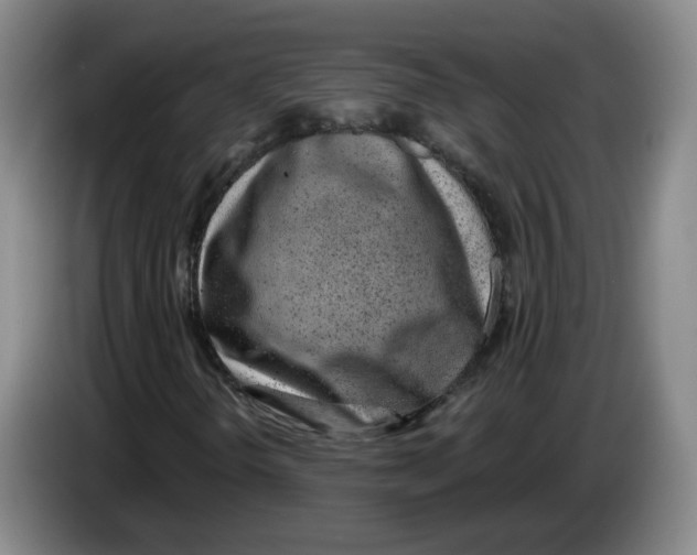 X0000083551298200703091545