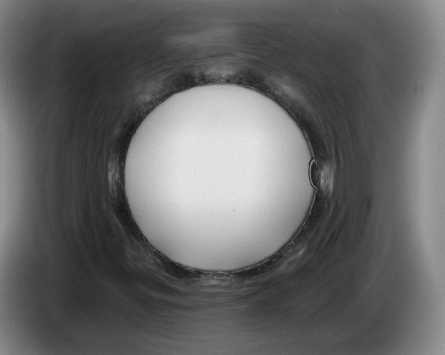 X0000083551299200703091545