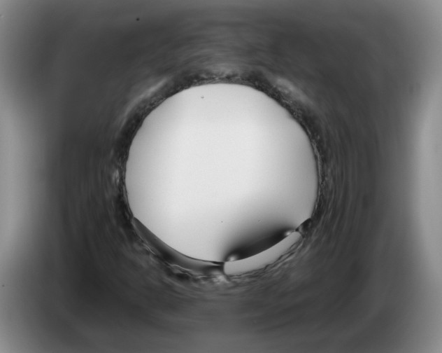 X0000083551302200703091546