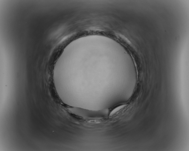 X0000083551303200703091546