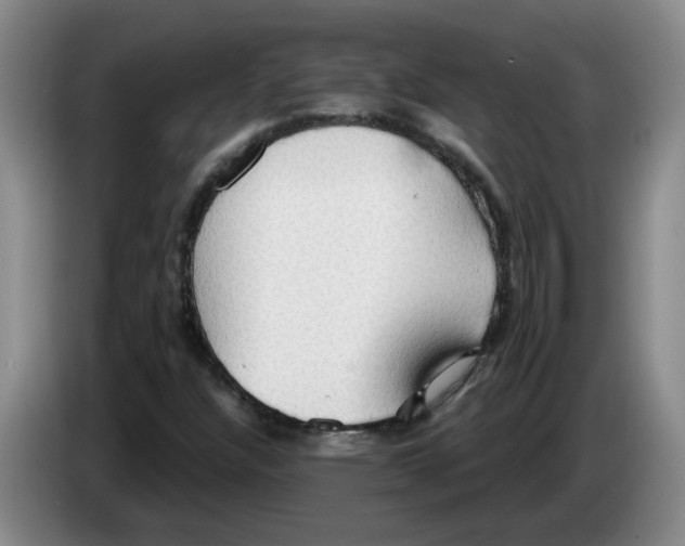 X0000083551304200703091546