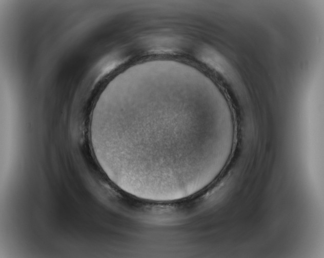 X0000083551306200703091546