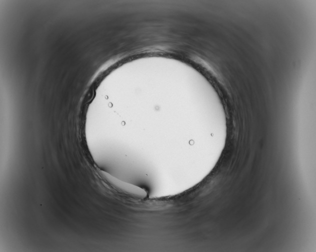 X0000083551308200703091546