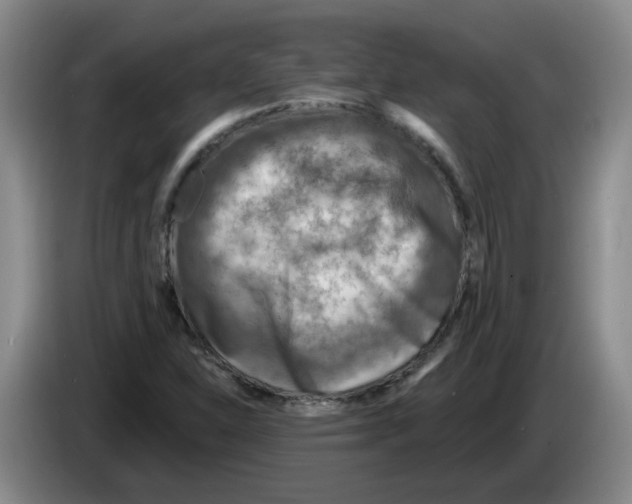 X0000083551310200703091546