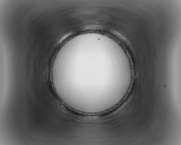 X0000083551313200703091546