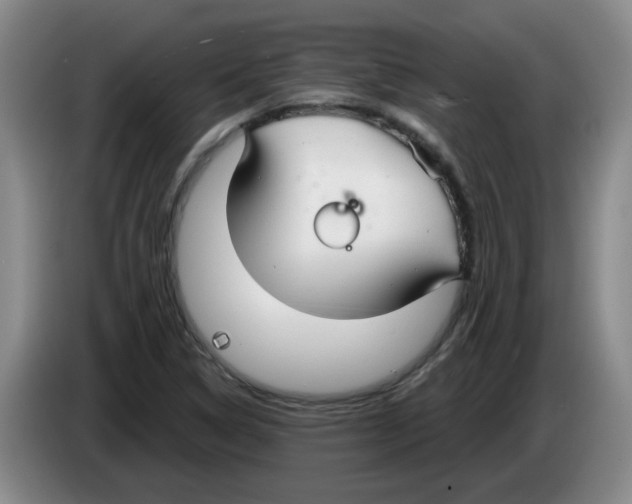 X0000083551314200703091546
