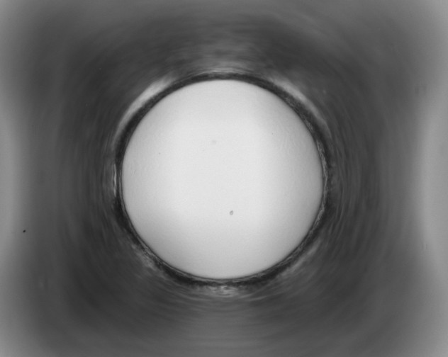 X0000083551317200703091546