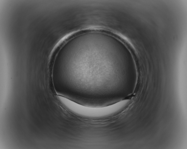 X0000083551319200703091546