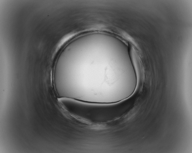 X0000083551320200703091546