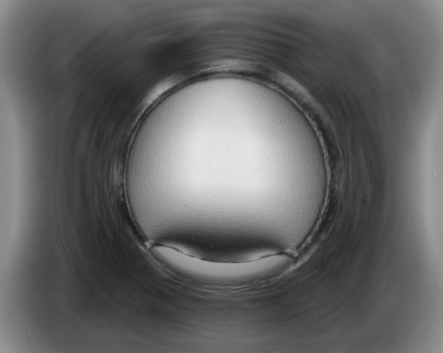 X0000083551321200703091546